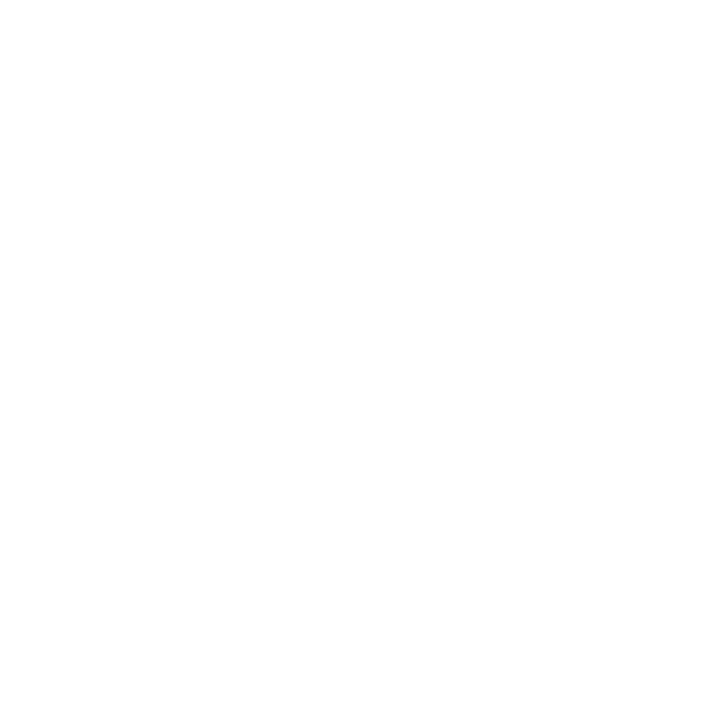 Icon_globe-1024x1016